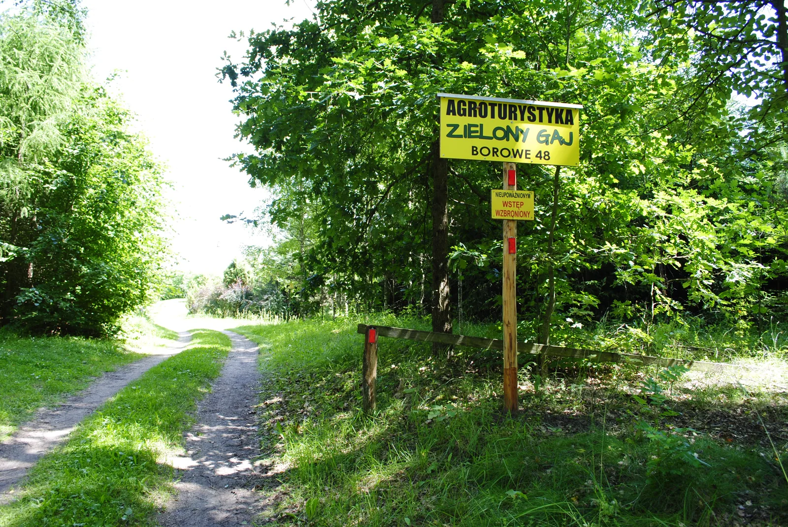 Leśna droga i drogowskaz do Zielonego Gaju