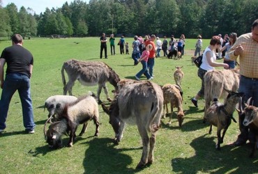 Kadzidłowo